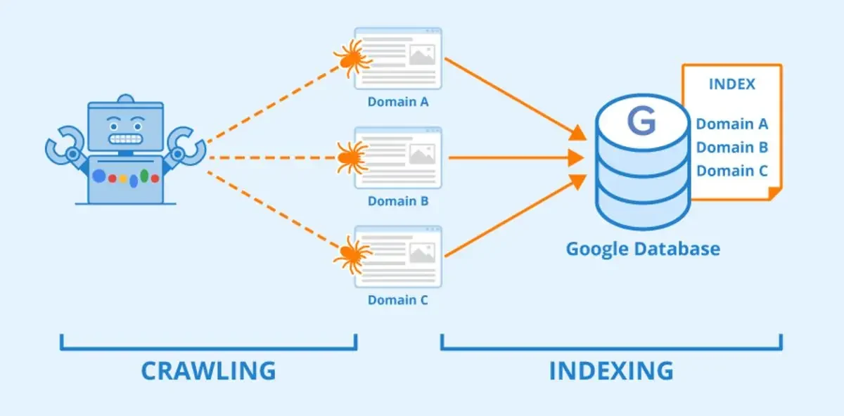 Comparison of website crawling and search indexing